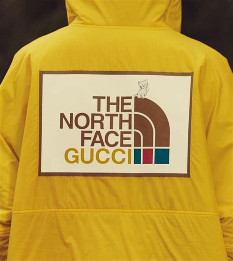 gucci & north face|Gucci .